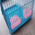 Powder Coated Metal Bird Cage